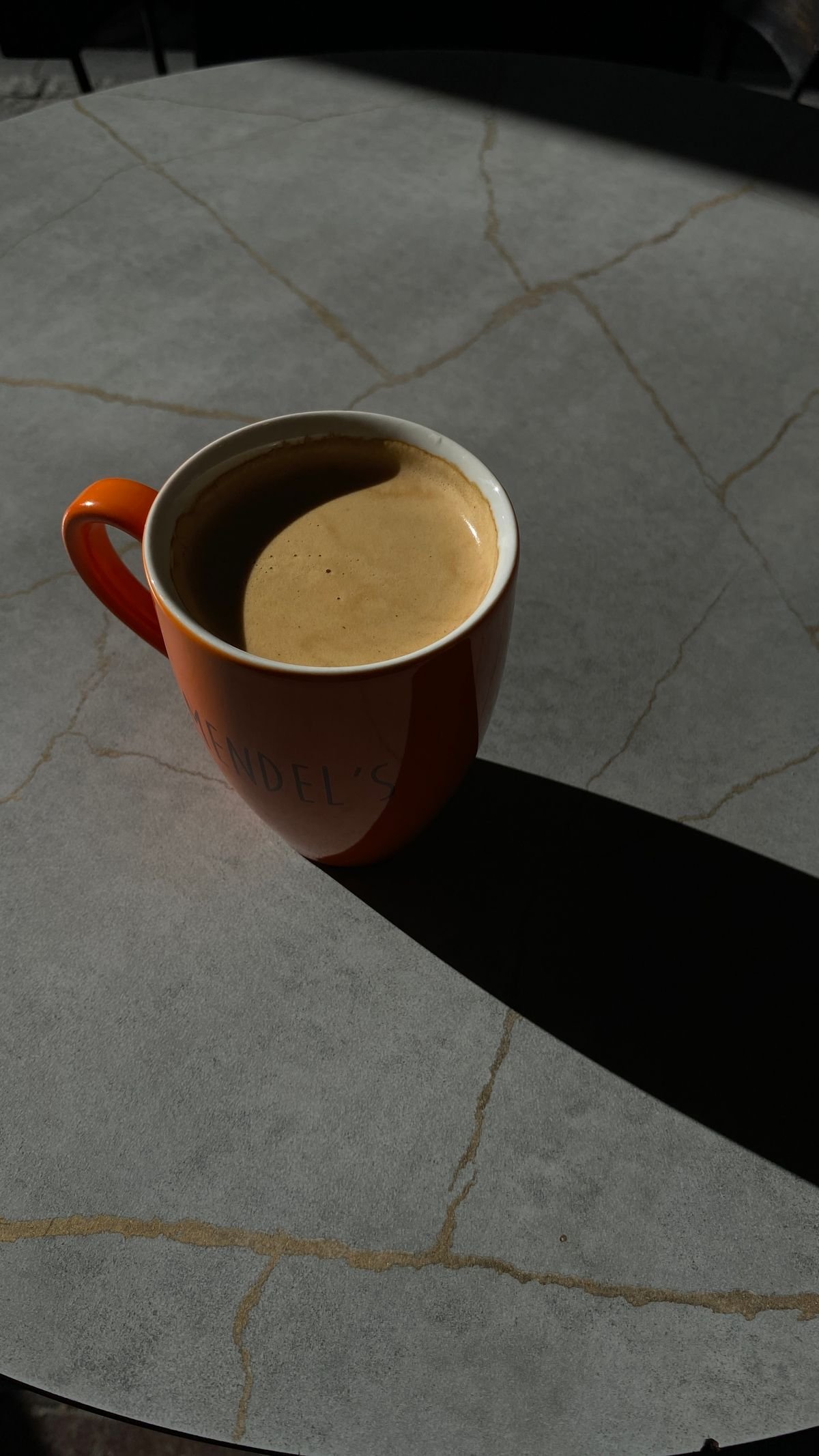 A ceramic coffee cup in warm afternoon light