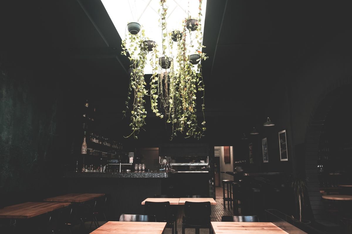 Restaurant tables beneath a glass roof and hanging plants