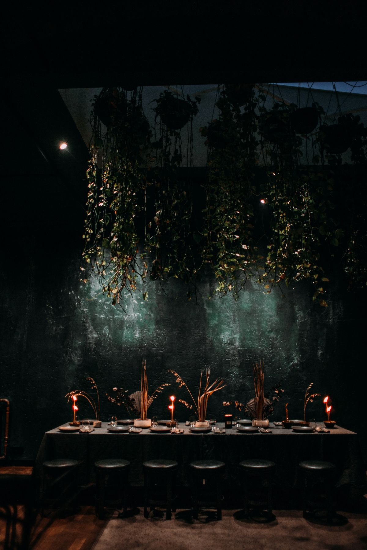 Long candlelit dining table under hanging plants