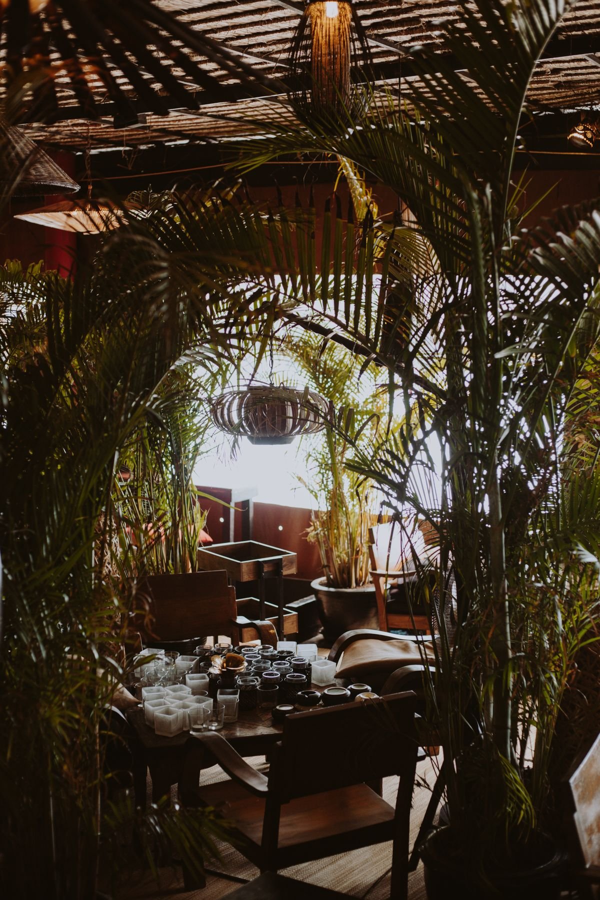 Warm restaurant interior with lush tropical plants