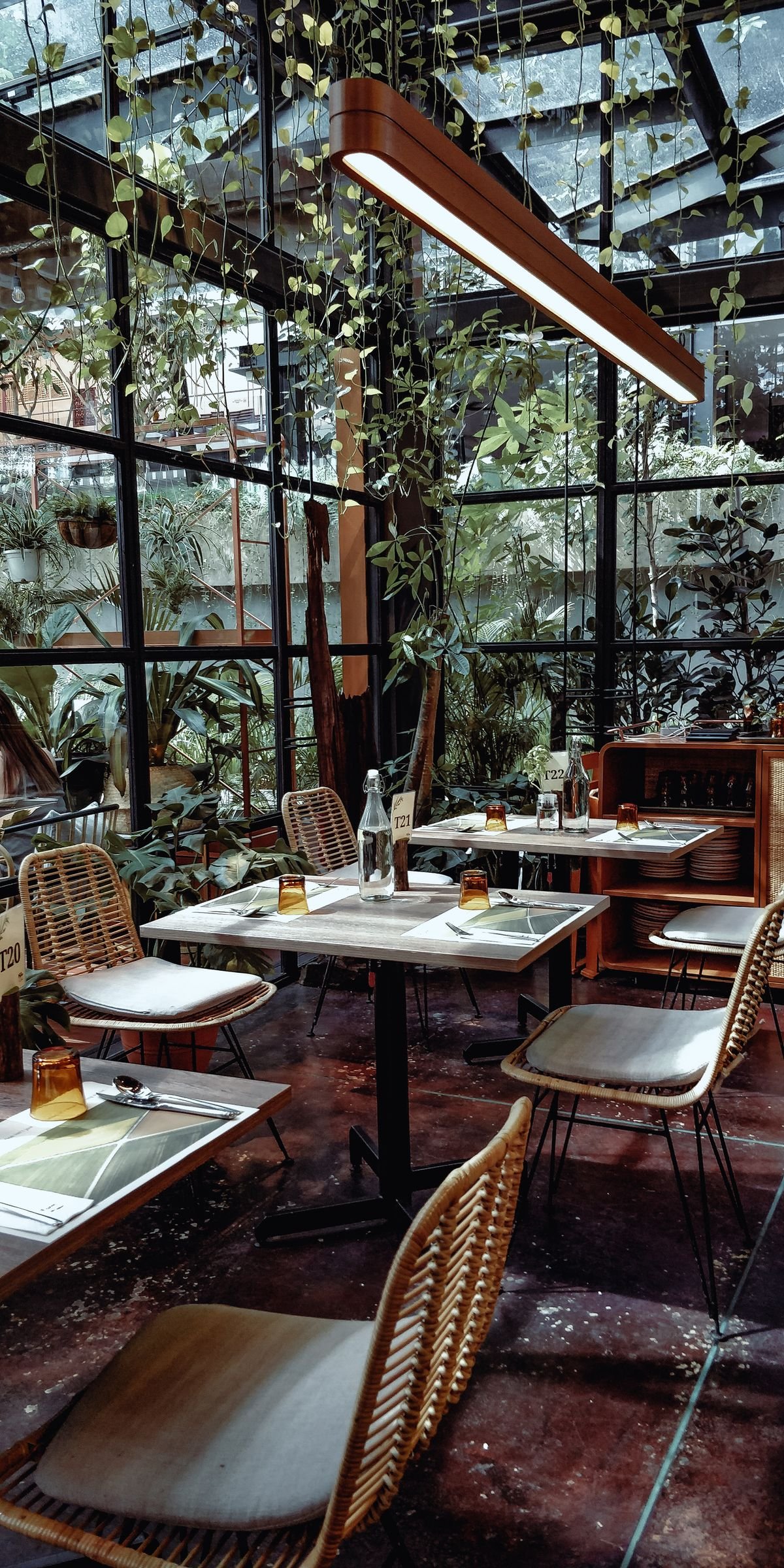Leafy cafe with warm wood and a bright window